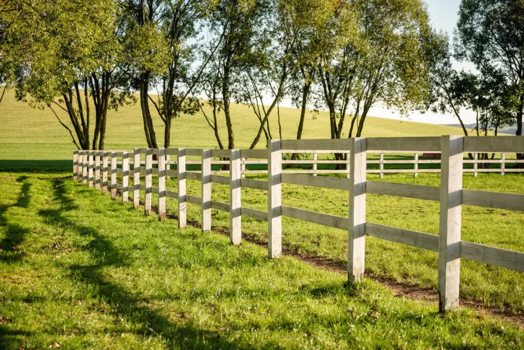 White horse fencing in countryside. White wooden fence on a farm on October afternoon, green fields in the background.